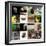 Various Wild Animals Composition-Aaron Amat-Framed Photographic Print