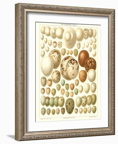Varriety of Eggs-null-Framed Art Print