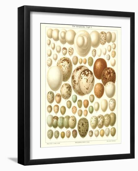 Varriety of Eggs-null-Framed Art Print