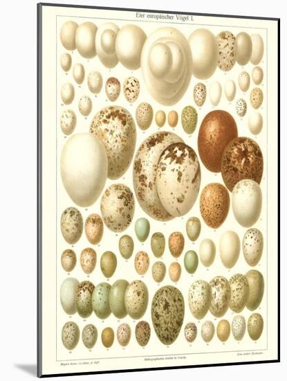 Varriety of Eggs-null-Mounted Art Print