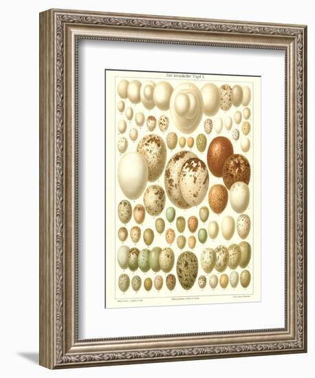 Varriety of Eggs-null-Framed Premium Giclee Print