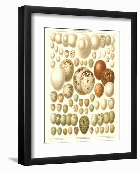 Varriety of Eggs-null-Framed Premium Giclee Print