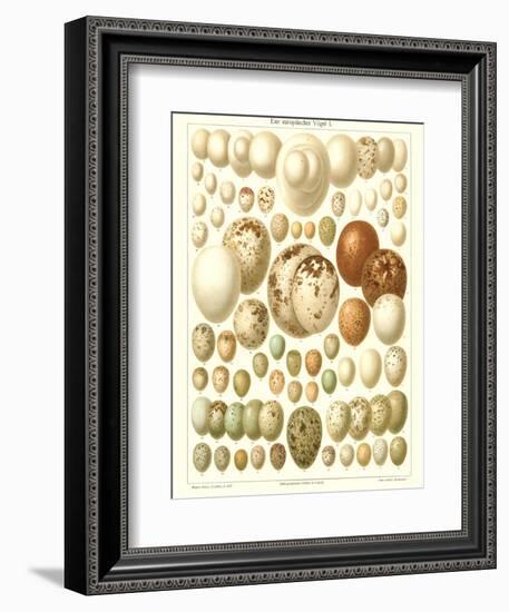 Varriety of Eggs-null-Framed Premium Giclee Print