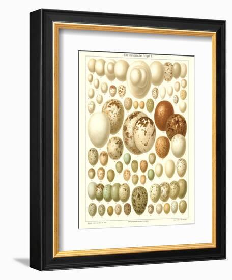 Varriety of Eggs-null-Framed Premium Giclee Print