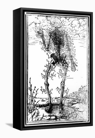 Vascular System of the Body-Andreas Vesalius-Framed Premier Image Canvas