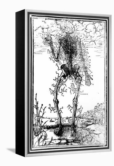 Vascular System of the Body-Andreas Vesalius-Framed Premier Image Canvas