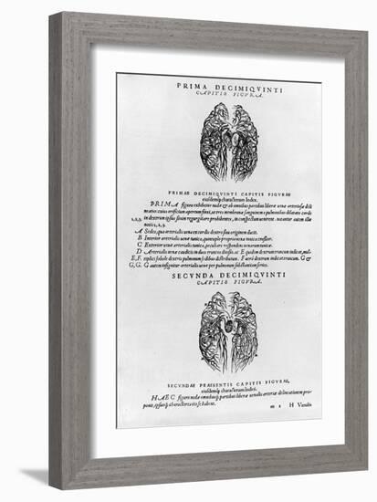 Vascular System of the Brain-Andreas Vesalius-Framed Giclee Print