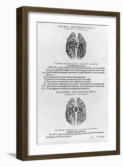 Vascular System of the Brain-Andreas Vesalius-Framed Giclee Print