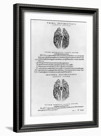 Vascular System of the Brain-Andreas Vesalius-Framed Giclee Print