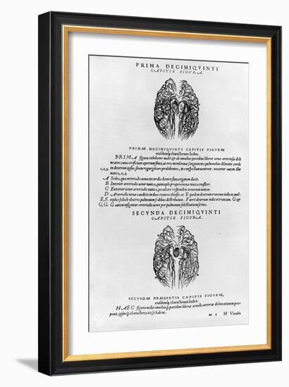 Vascular System of the Brain-Andreas Vesalius-Framed Giclee Print