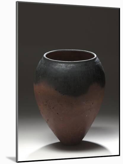 Vase à panse ovoïde et col resserré-null-Mounted Giclee Print