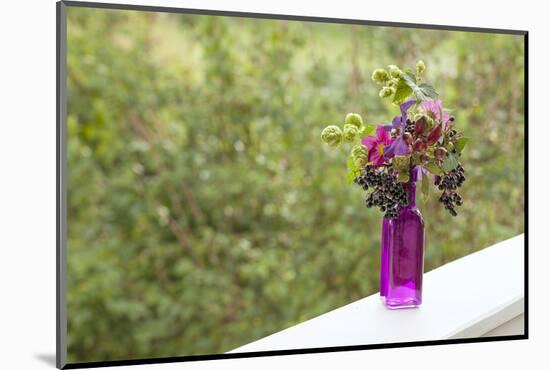 Vase, Bunch, Berries, Hop Blossoms, Flowers, Autumn-Andrea Haase-Mounted Photographic Print