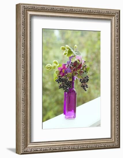 Vase, Bunch, Berries, Hop Blossoms, Flowers, Autumn-Andrea Haase-Framed Photographic Print