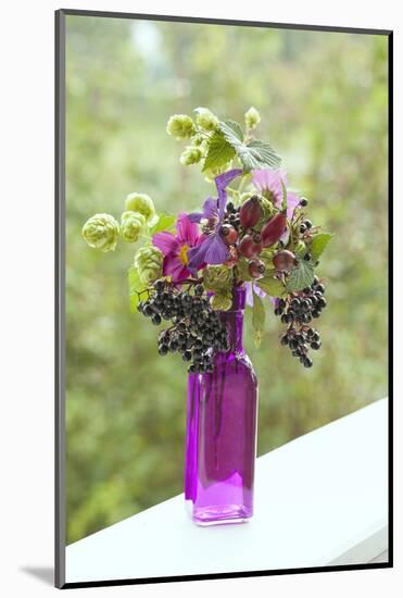 Vase, Bunch, Berries, Hop Blossoms, Flowers, Autumn-Andrea Haase-Mounted Photographic Print