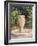 Vase Fountain, Pocantico-John Singer Sargent-Framed Giclee Print