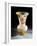 Vase (Glass)-Émile Gallé-Framed Giclee Print