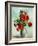 Vase of Flowers; Vase De Fleurs, 1925-1930-Maximilien Luce-Framed Giclee Print