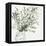 Vase of Grass I-Asia Jensen-Framed Stretched Canvas