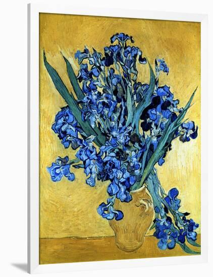 Vase of Irises Against a Yellow Background, c.1890-Vincent van Gogh-Framed Giclee Print