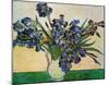 Vase of Irises, c.1890-Vincent van Gogh-Mounted Art Print