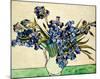 Vase of Irises, c.1890-Vincent van Gogh-Mounted Giclee Print