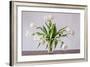 Vase of Tulips-Torsten Richter-Framed Photographic Print