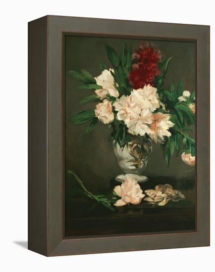 Vase with Peonies on a Pedestal, 1864-Edouard Manet-Framed Premier Image Canvas