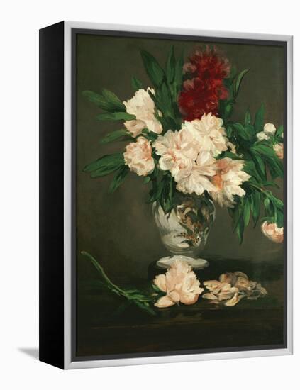 Vase with Peonies on a Pedestal, 1864-Edouard Manet-Framed Premier Image Canvas