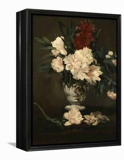 Vase with Peonies on a Pedestal, c.1864-Edouard Manet-Framed Premier Image Canvas