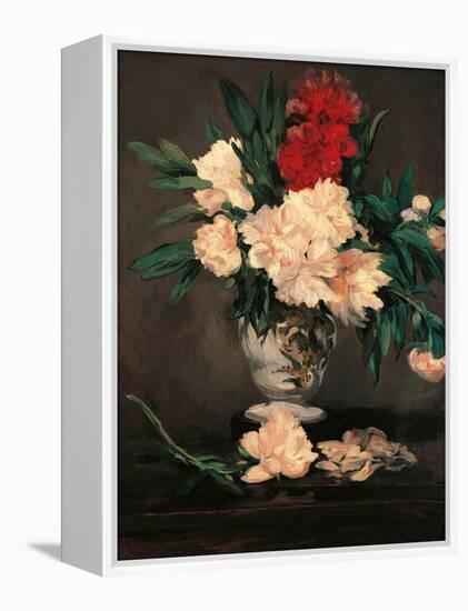Vase with Peonies on a Pedestal-Edouard Manet-Framed Stretched Canvas