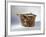 Vase with Spout in Ceramic by Kamares with Polychrome Decoration, from Palace of Festos-null-Framed Giclee Print