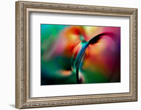 Vase-Ursula Abresch-Framed Photographic Print