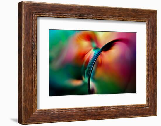 Vase-Ursula Abresch-Framed Photographic Print