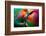 Vase-Ursula Abresch-Framed Photographic Print