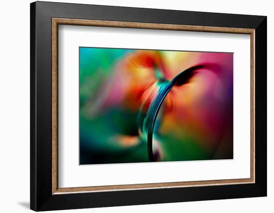 Vase-Ursula Abresch-Framed Photographic Print