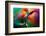 Vase-Ursula Abresch-Framed Photographic Print