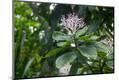 Premium Photographic Print