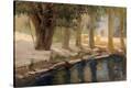 Stretched Canvas Print