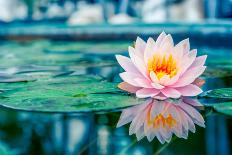 Beautiful Pink Lotus, Water Plant with Reflection in a Pond-Vasin Lee-Premier Image Canvas