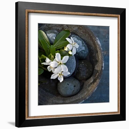 Vasque et Fleures-Catherine Beyler-Framed Art Print