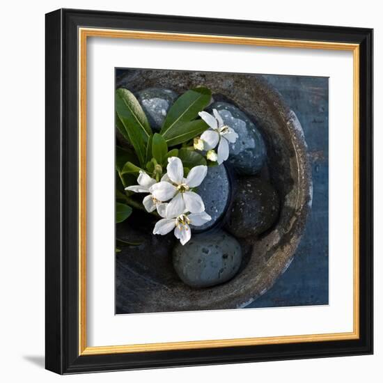 Vasque et Fleures-Catherine Beyler-Framed Art Print