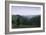 Vast Forest Landscape, 1937-Georg Schrimpf-Framed Giclee Print