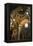 Vatican City, Rome, Italy, Ceiling Inside Saint Peter's Basilica-David Noyes-Framed Premier Image Canvas