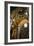 Vatican City, Rome, Italy, Ceiling Inside Saint Peter's Basilica-David Noyes-Framed Photographic Print