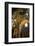 Vatican City, Rome, Italy, Ceiling Inside Saint Peter's Basilica-David Noyes-Framed Photographic Print