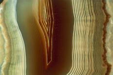 Kiwi Slice-Vaughan Fleming-Framed Photographic Print