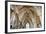 Vaulting in Rosslyn Chapel, Roslin, Midlothian, Scotland, United Kingdom-Nick Servian-Framed Photographic Print