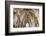 Vaulting in Rosslyn Chapel, Roslin, Midlothian, Scotland, United Kingdom-Nick Servian-Framed Photographic Print