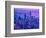 Vctoria Peak Hong Kong-Marco Carmassi-Framed Photographic Print