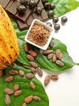 Cocoa Pod With Cocoa Beans, Powder, And Chocolates-vd808bs-Laminated Photographic Print